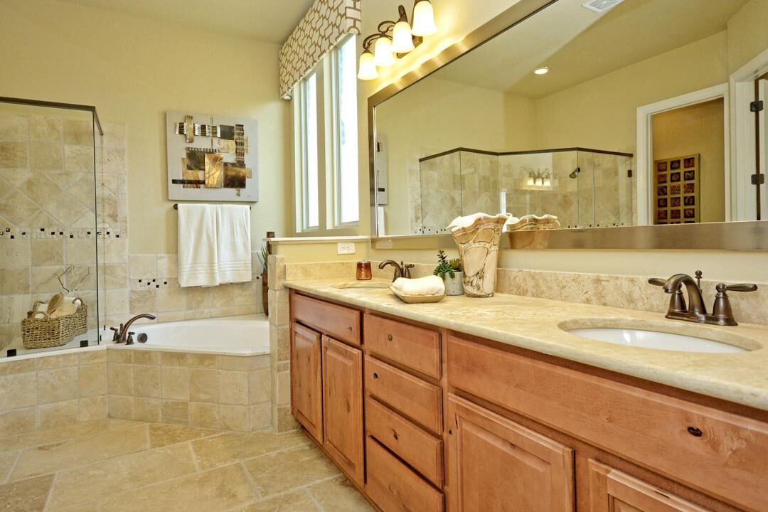 Owner's Bathroom
