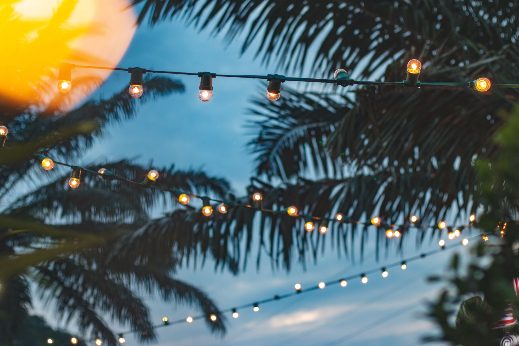 Tropical evening background