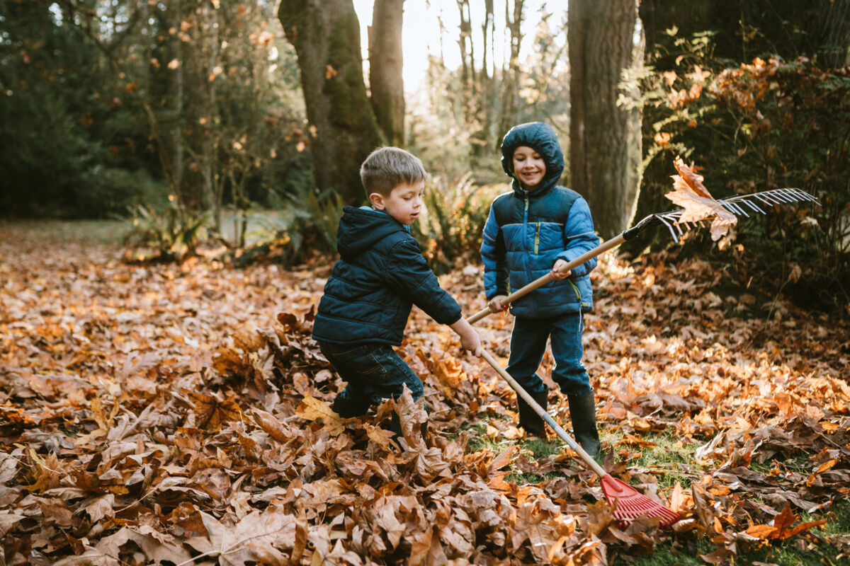 Children raking fall leaves