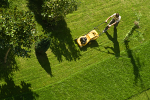 Top-down view of mowing the lawn