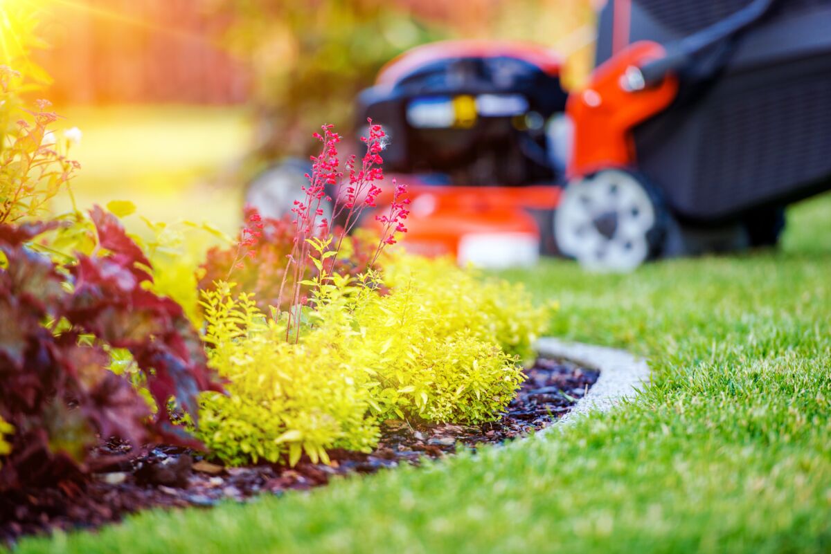 Mowing, flower bed focus