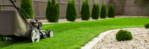 Mowing the lawn