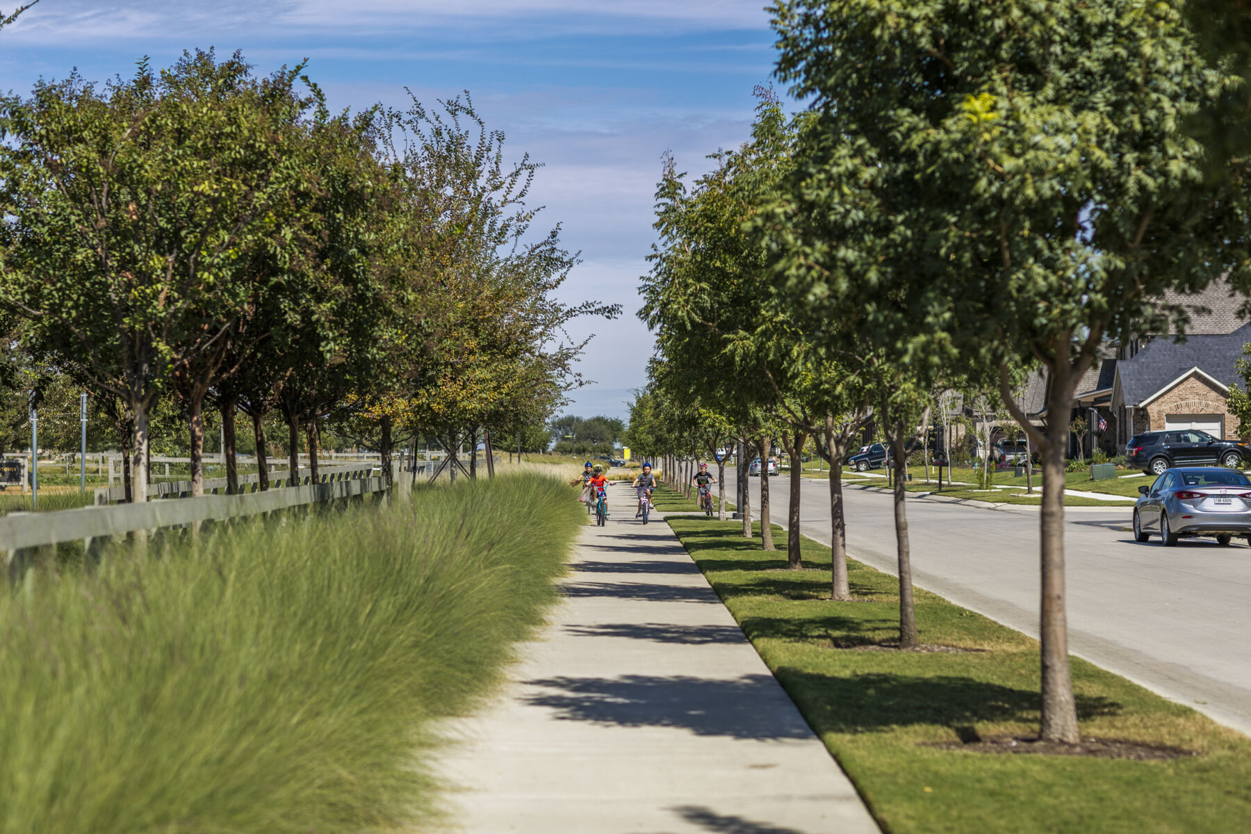 Harvest Streetscape