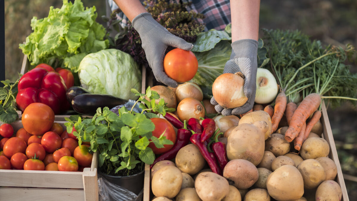 Fresh produce at a farmer's market