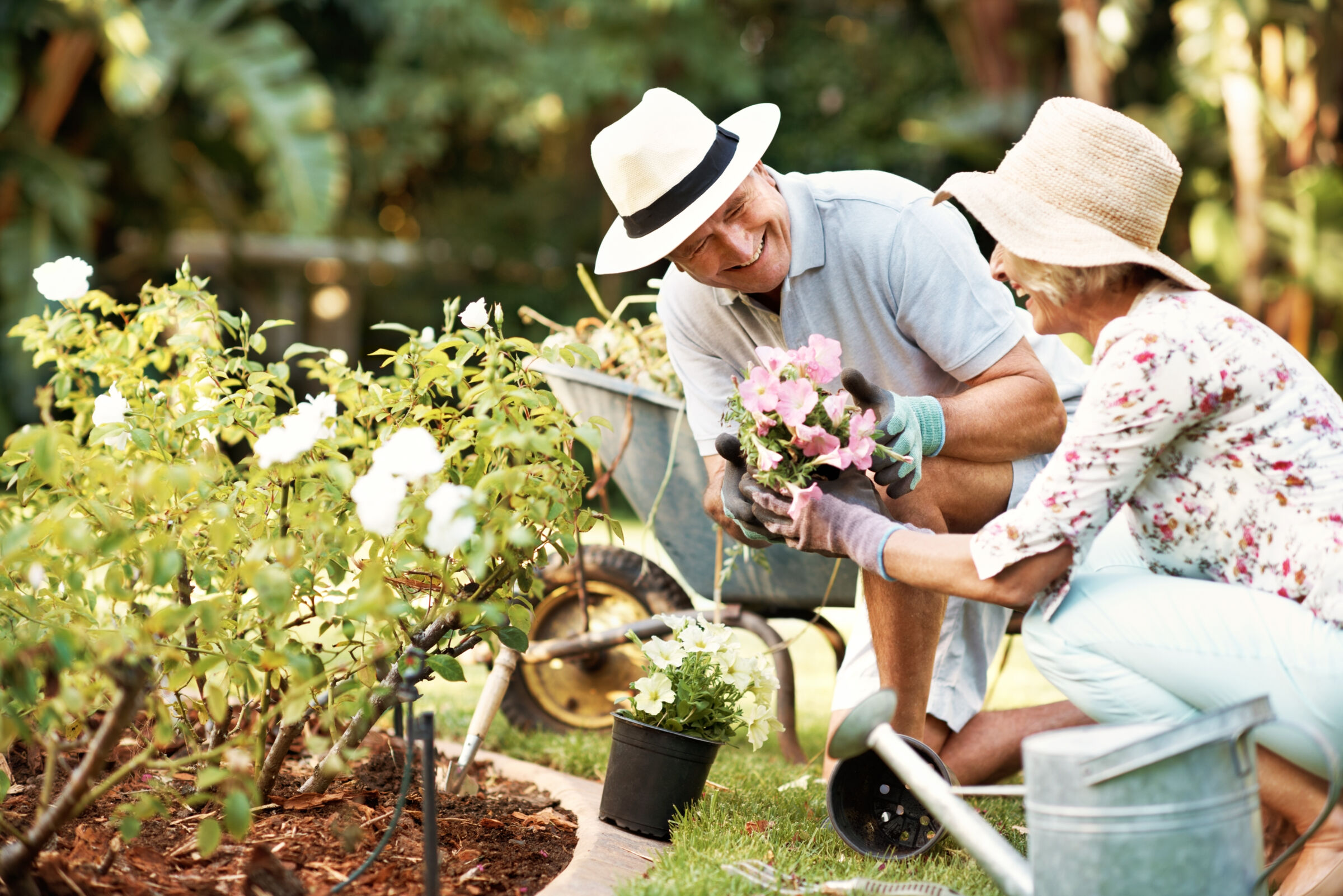 Senior couple gardening