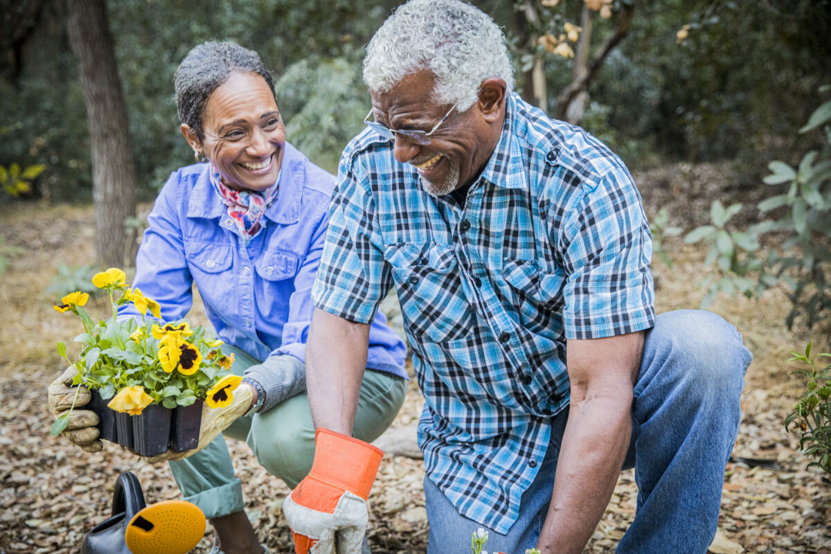 Senior couple planting flowers