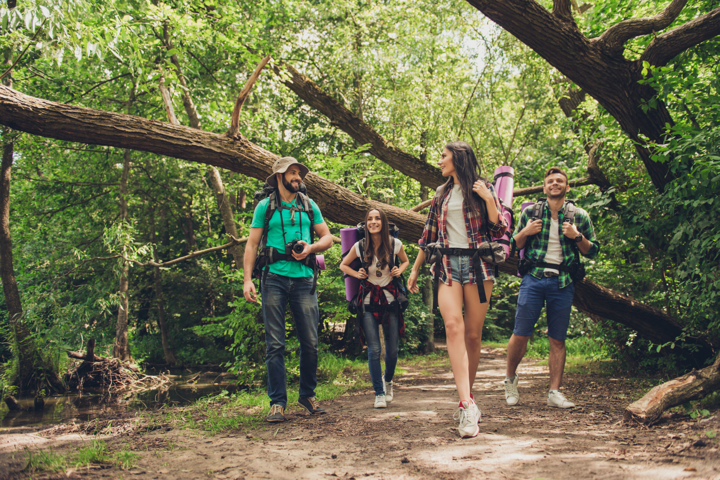 Friends hiking in summer