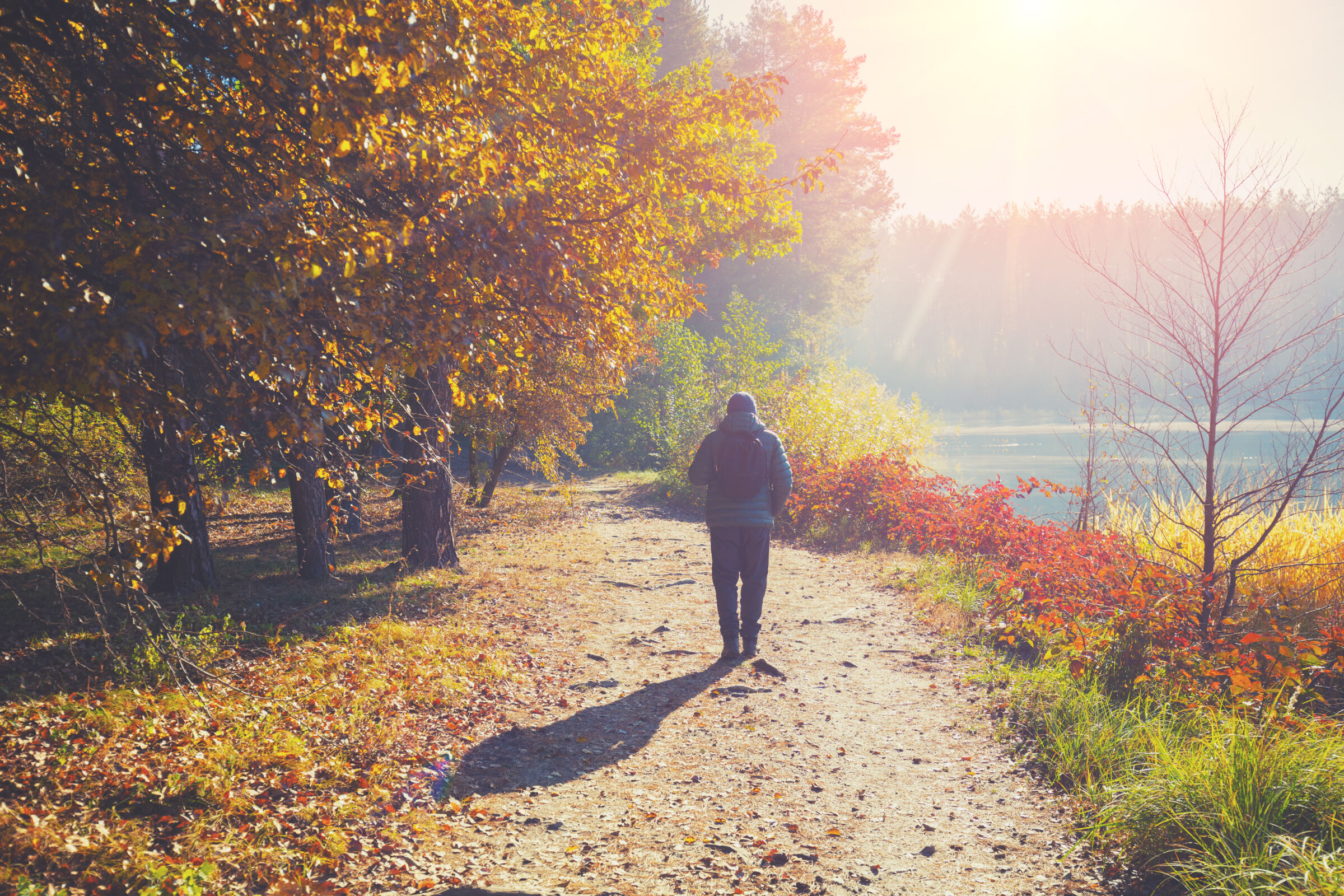 One person hiking in the fall