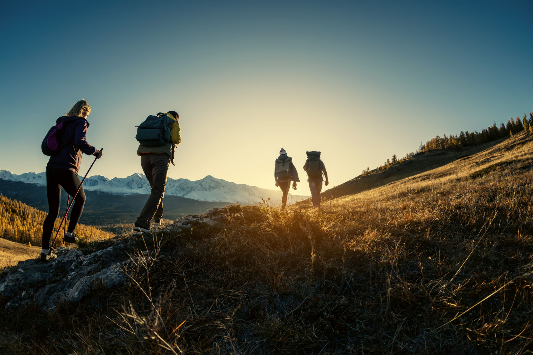 Four people hiking off-trail