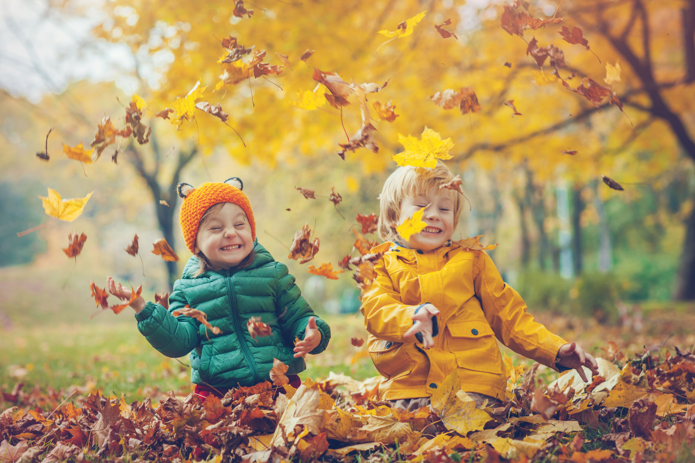 Children playing in autumn leaves