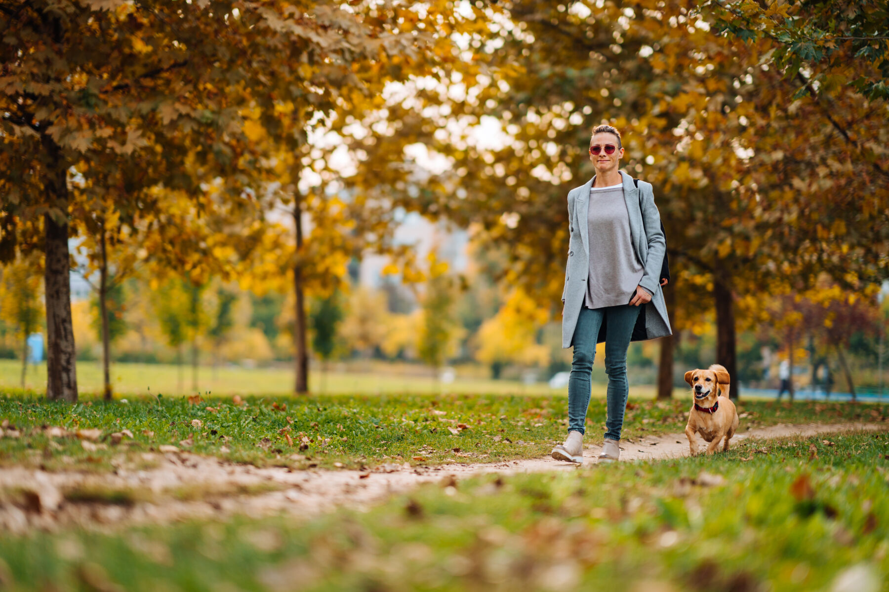 Woman walking with her dog in the park