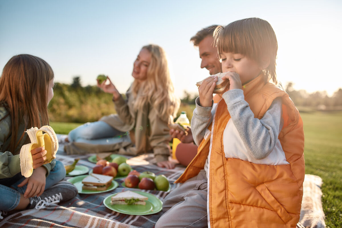 Family having a picnic