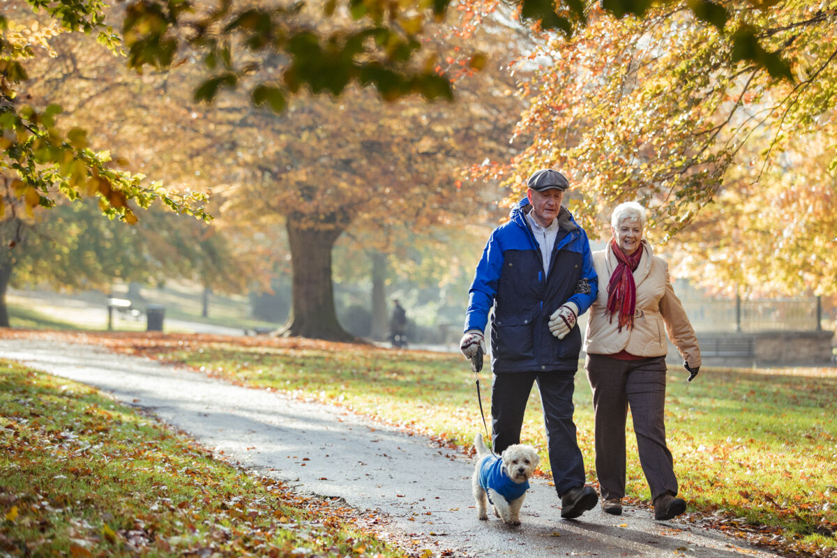 Senior couple walking their dog in a park