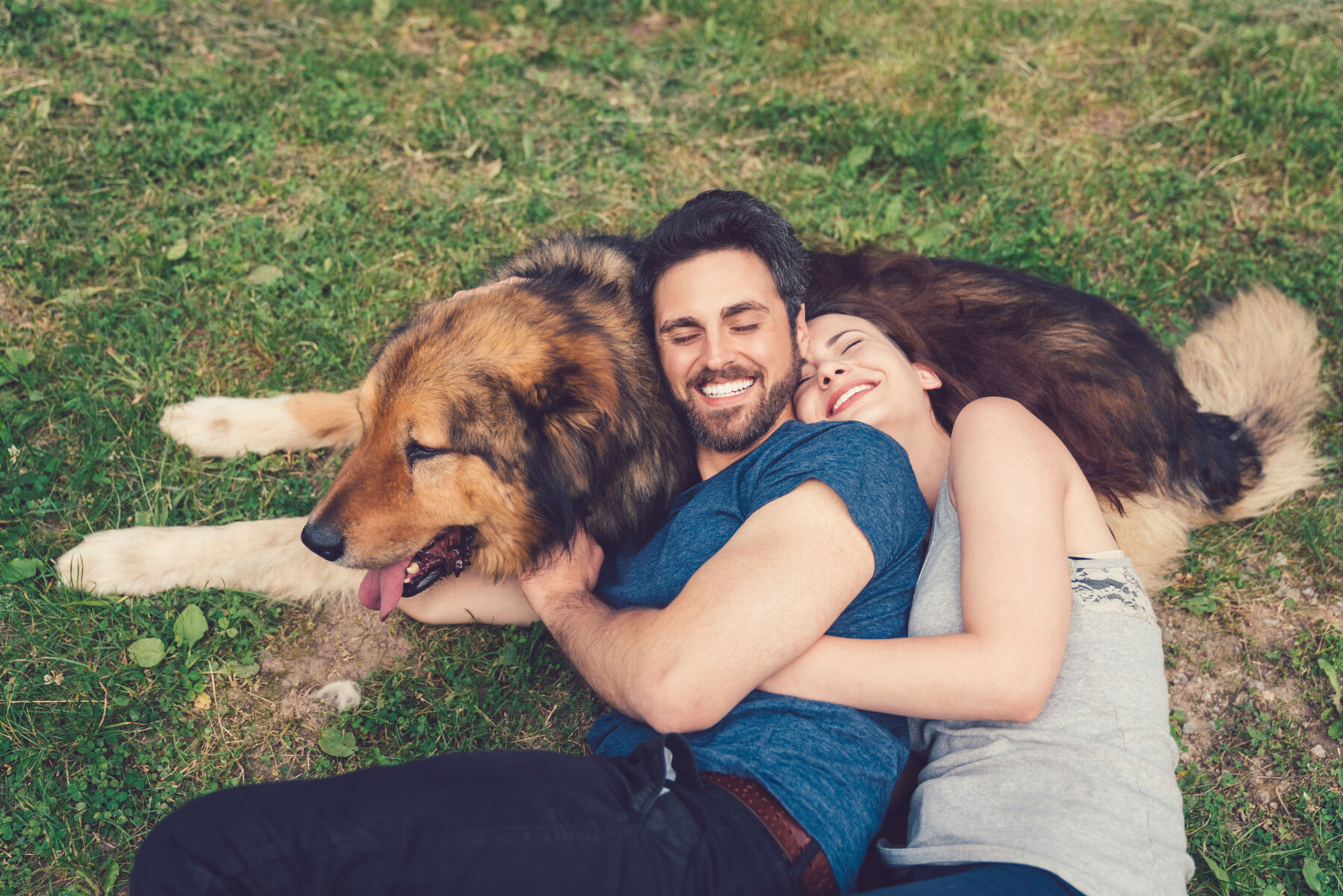 Couple laying with their dog in a park
