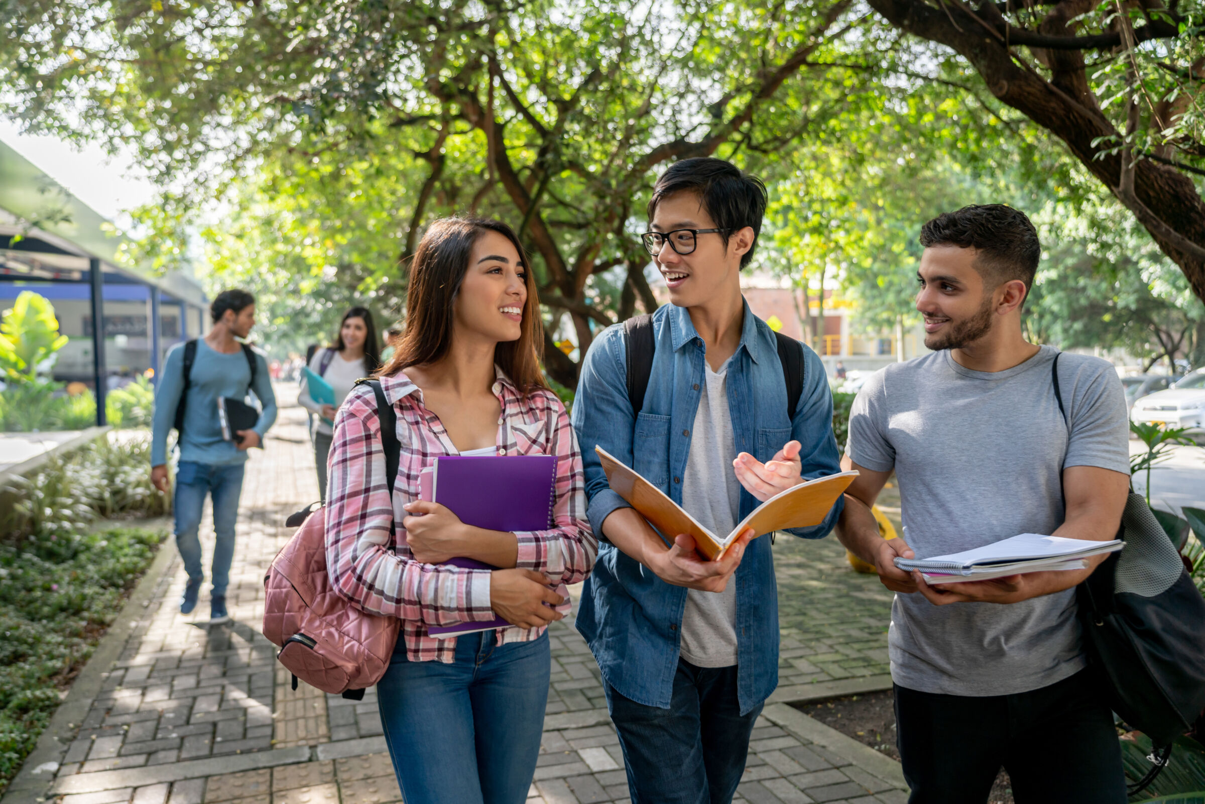 Students walking together