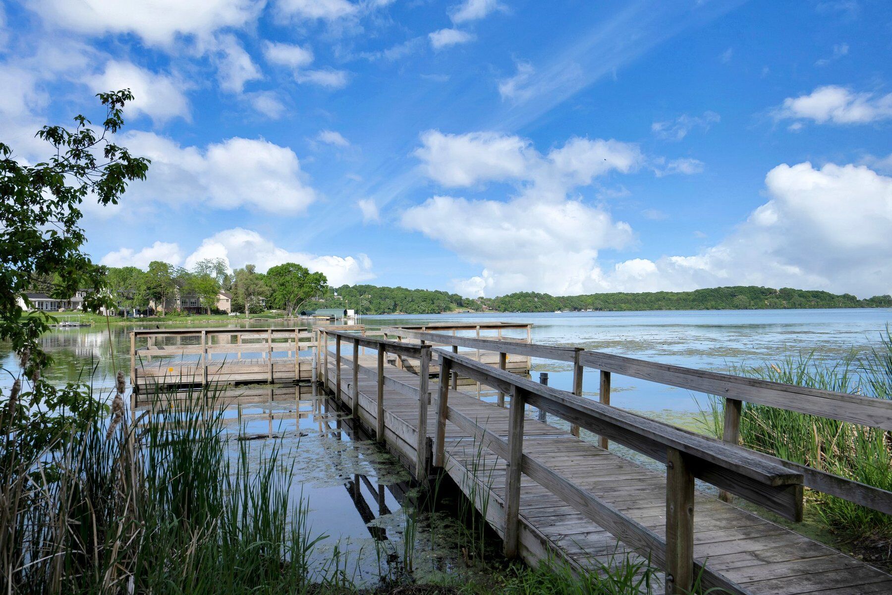 Woodland Cove