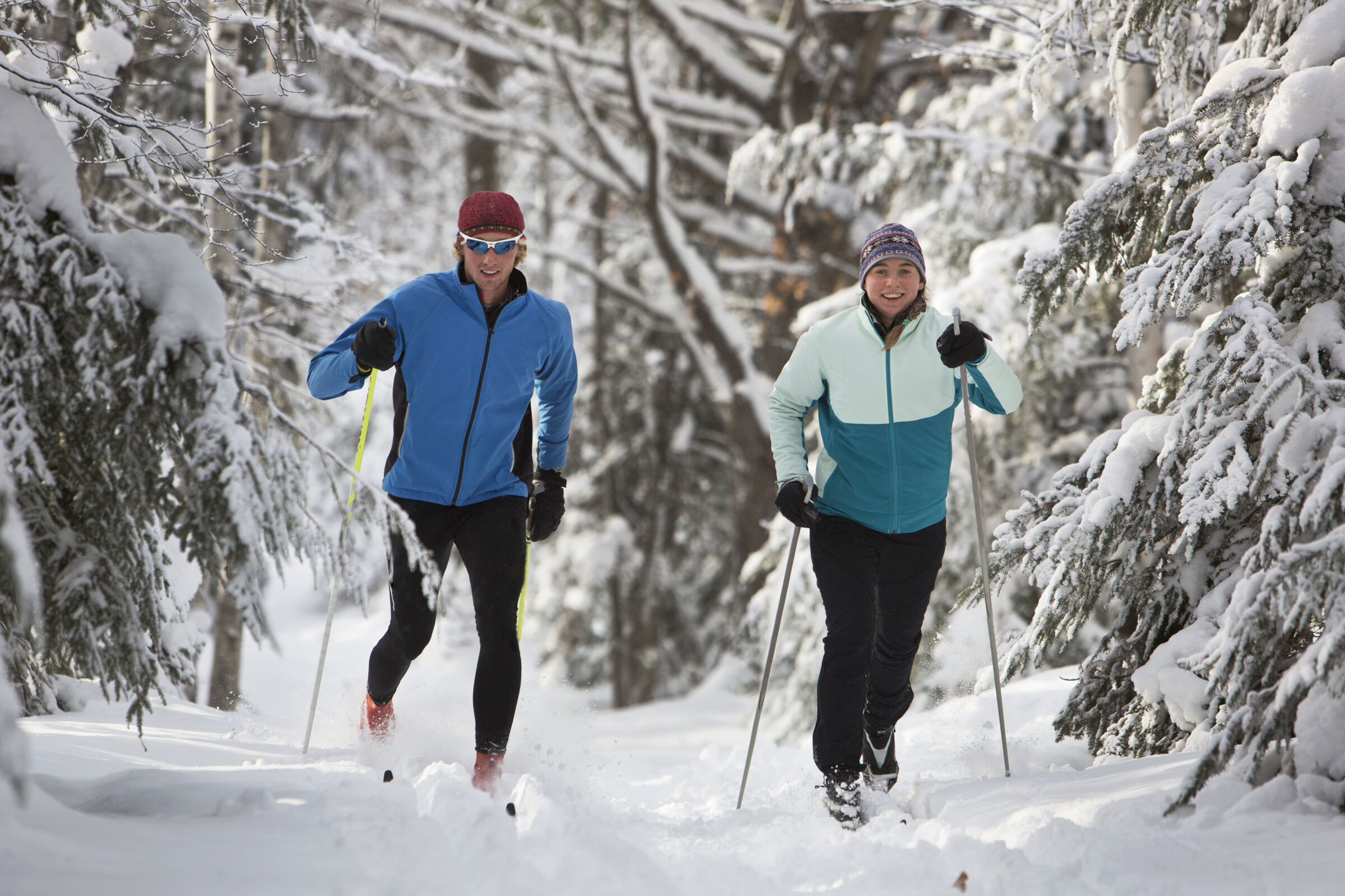 A couple, man and woman, cross country skiing through a snowy forest