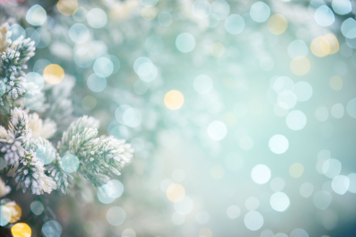 Christmas tree lights background