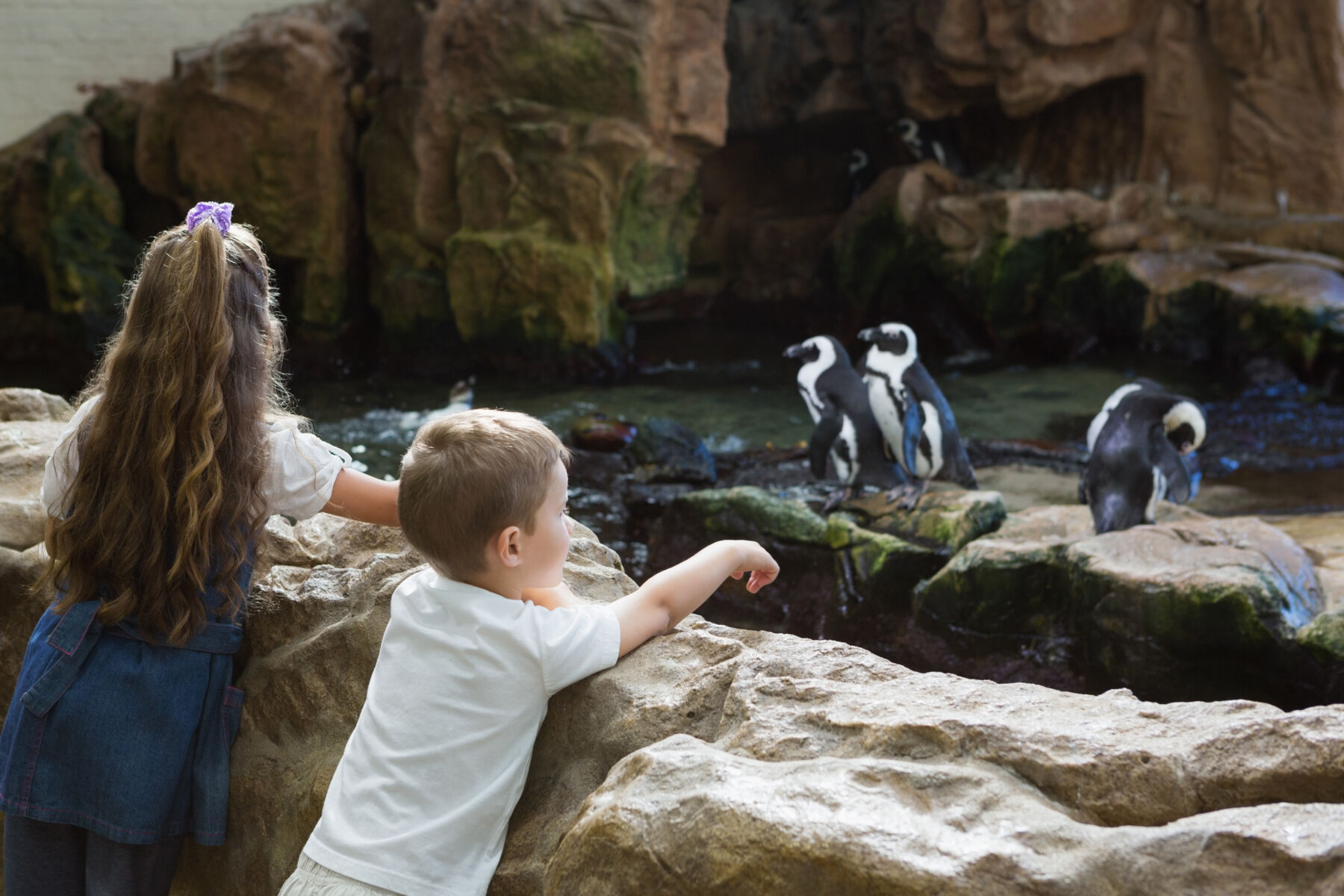 two children watching penguins at zoo