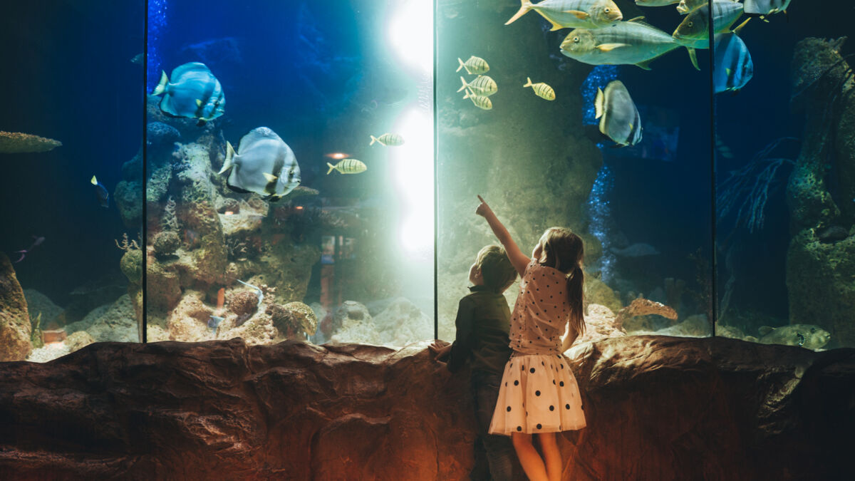 two children at aquarium watching fish