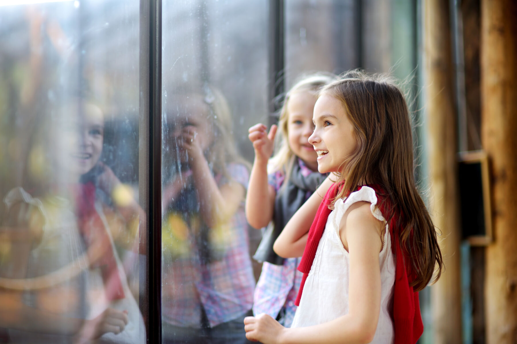two girls at zoo looking into exhibit