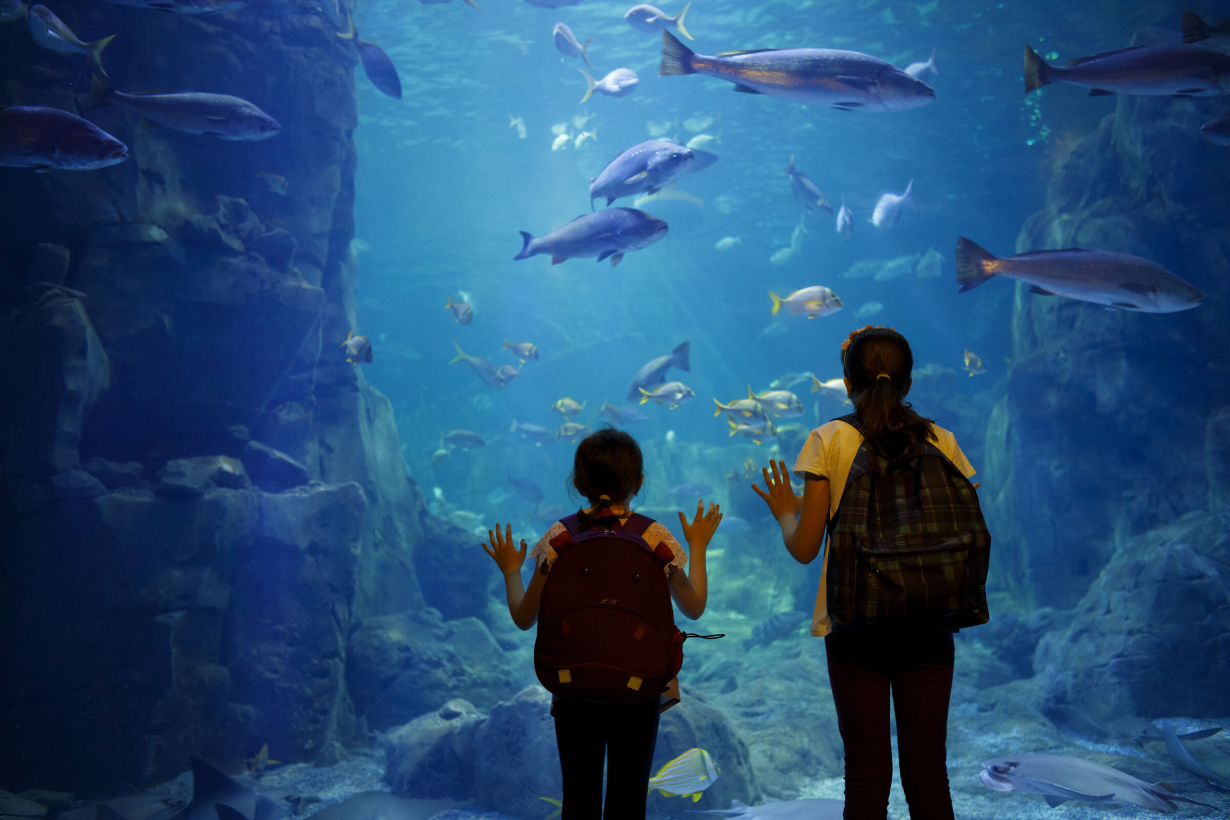 two girls at aquarium watching fish