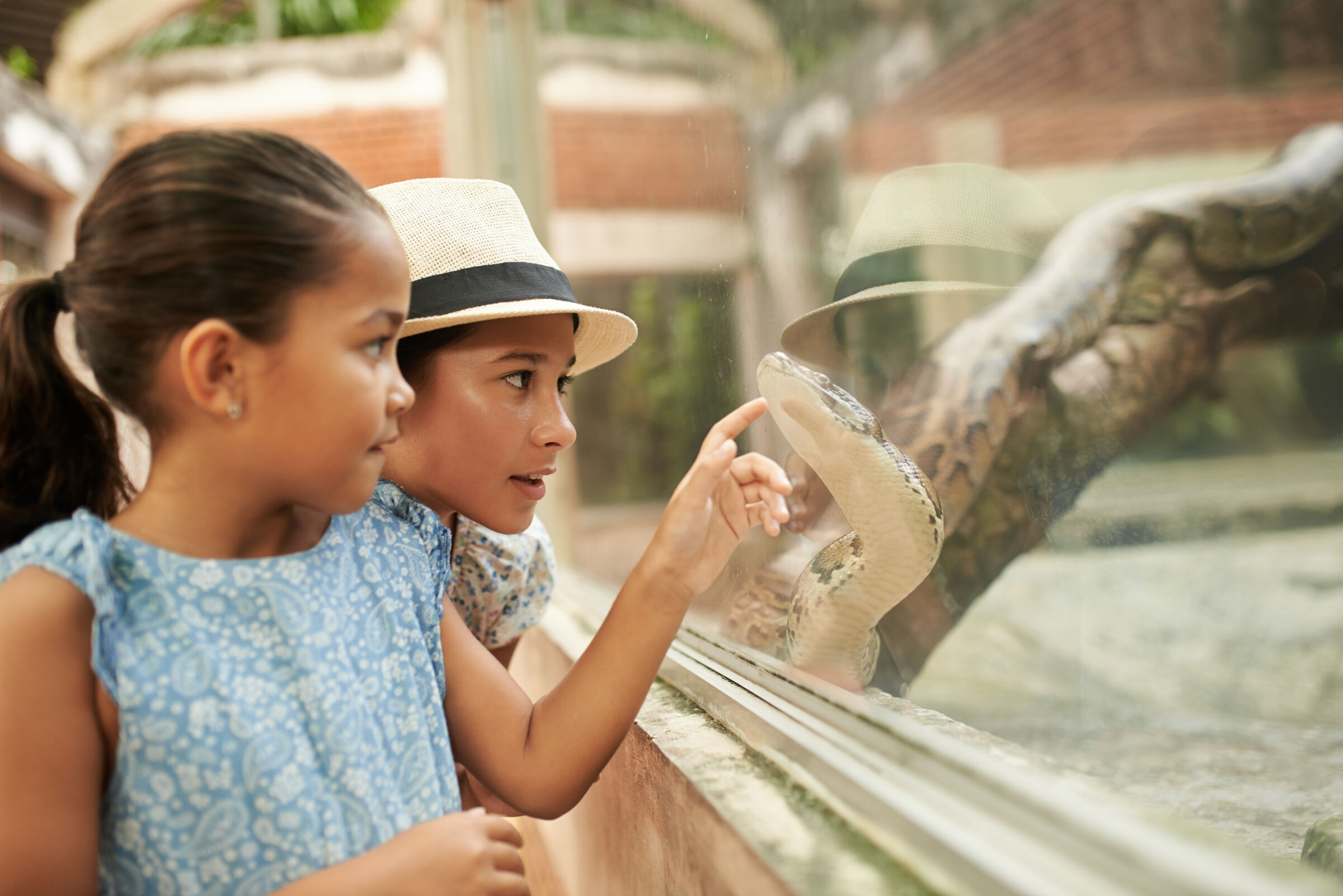 mother and daughter at zoo looking at snake