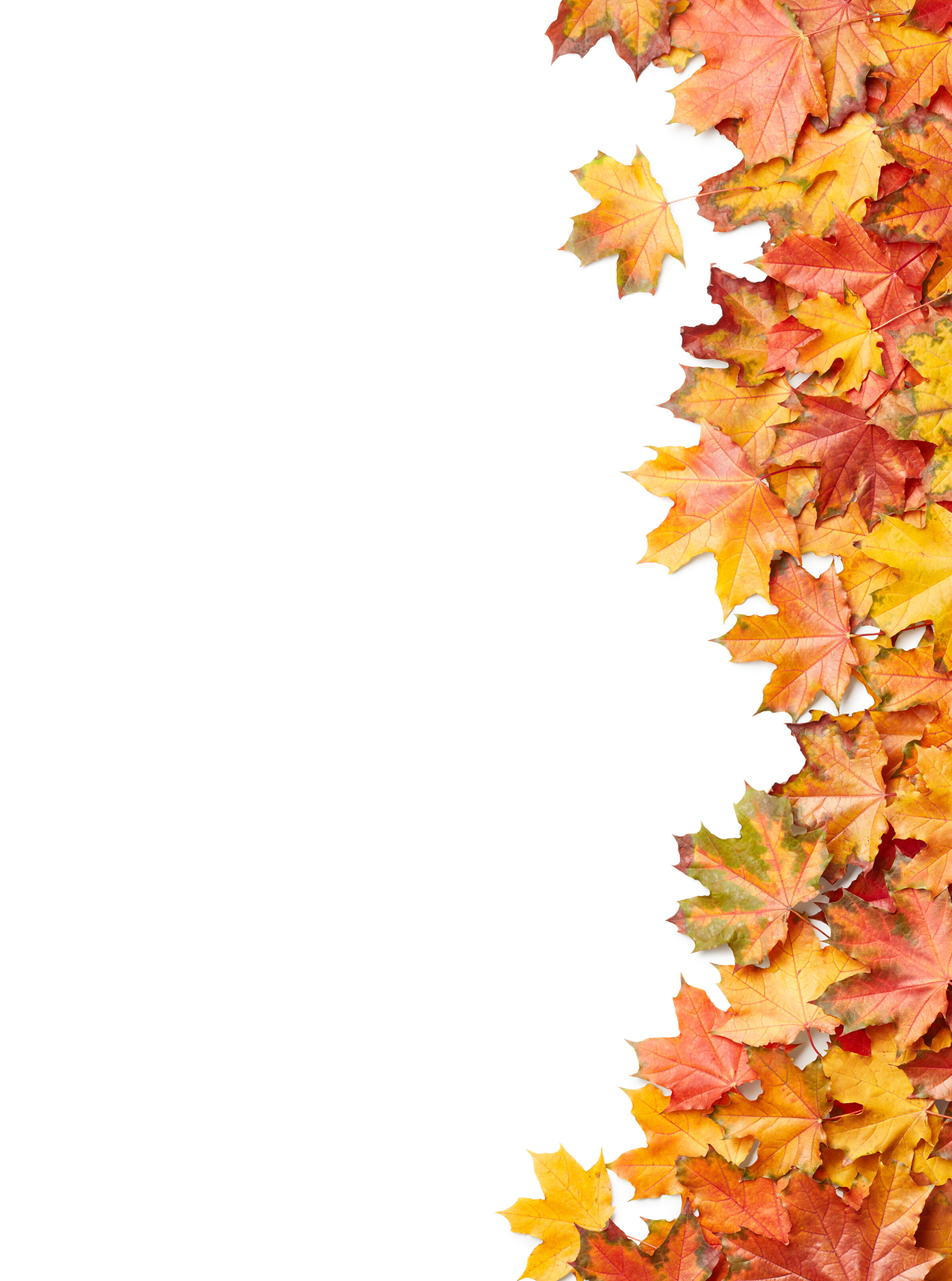 Autumn Leaves