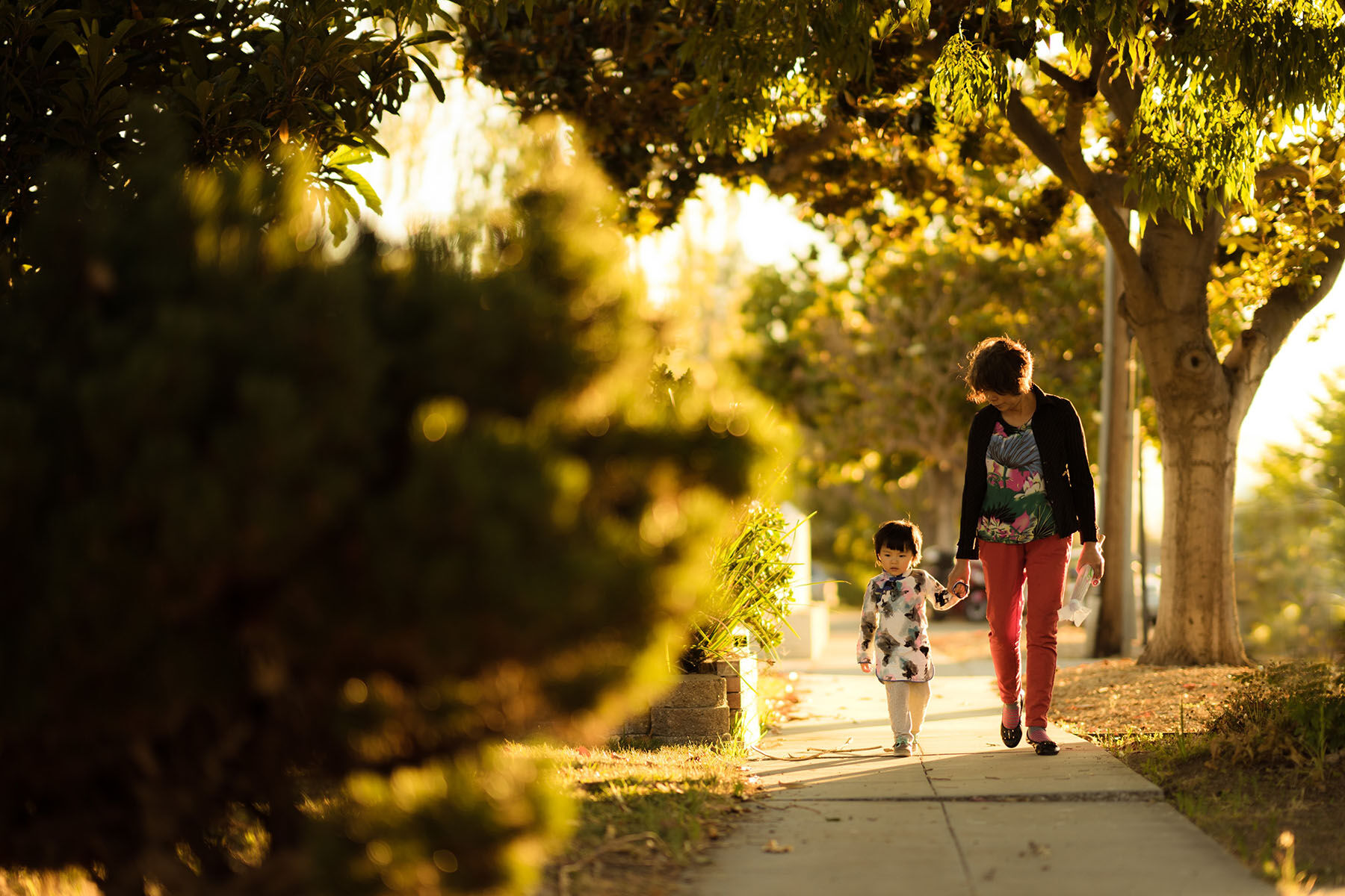 Family walking