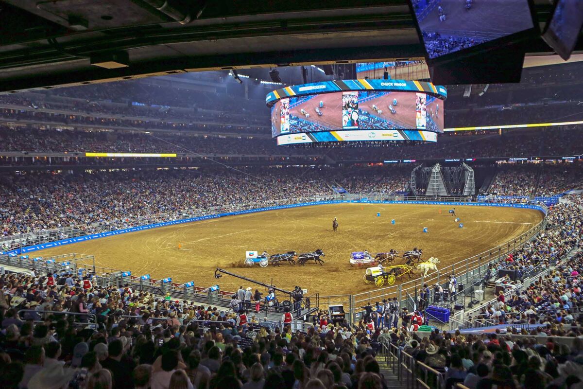 Rodeo