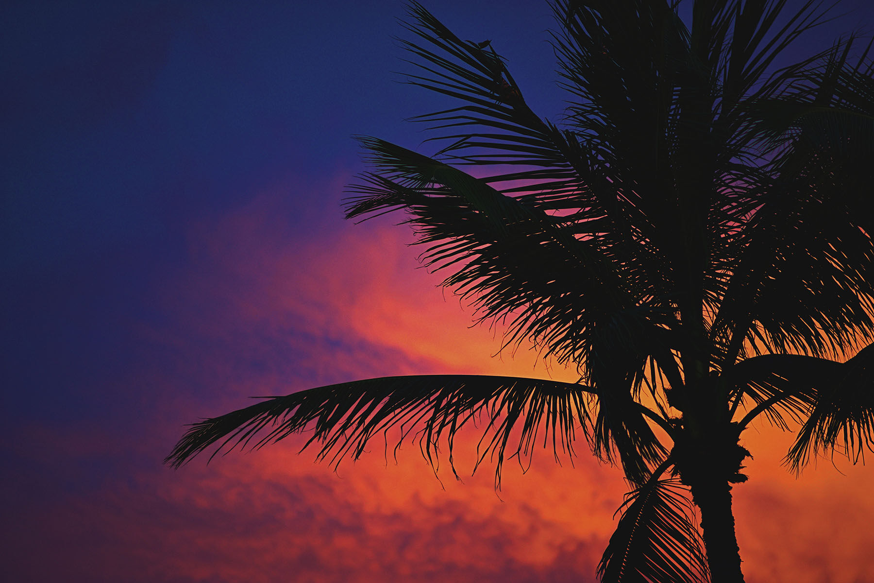 Florida