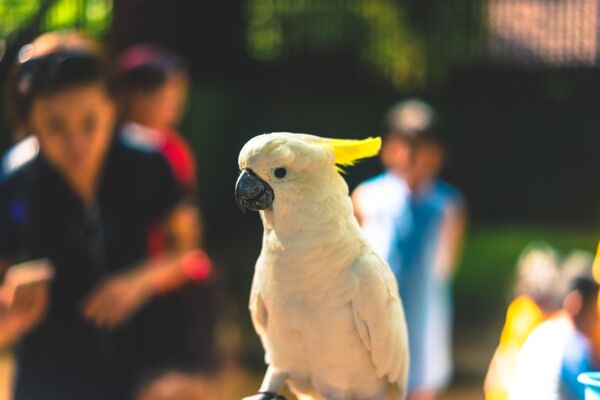 Columbus zoo