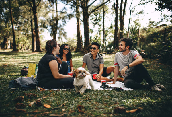 friends in park