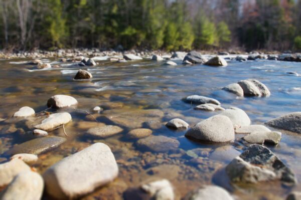 creek