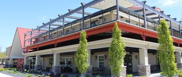 Daniel's Vineyard