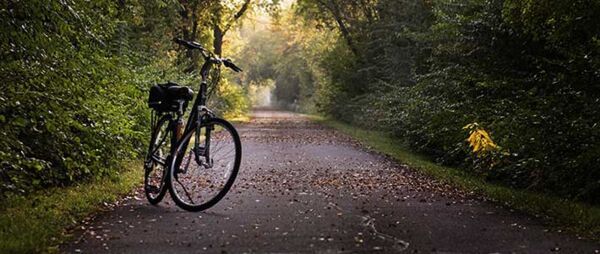 Bike Trail