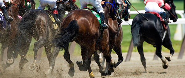 Canterbury Park