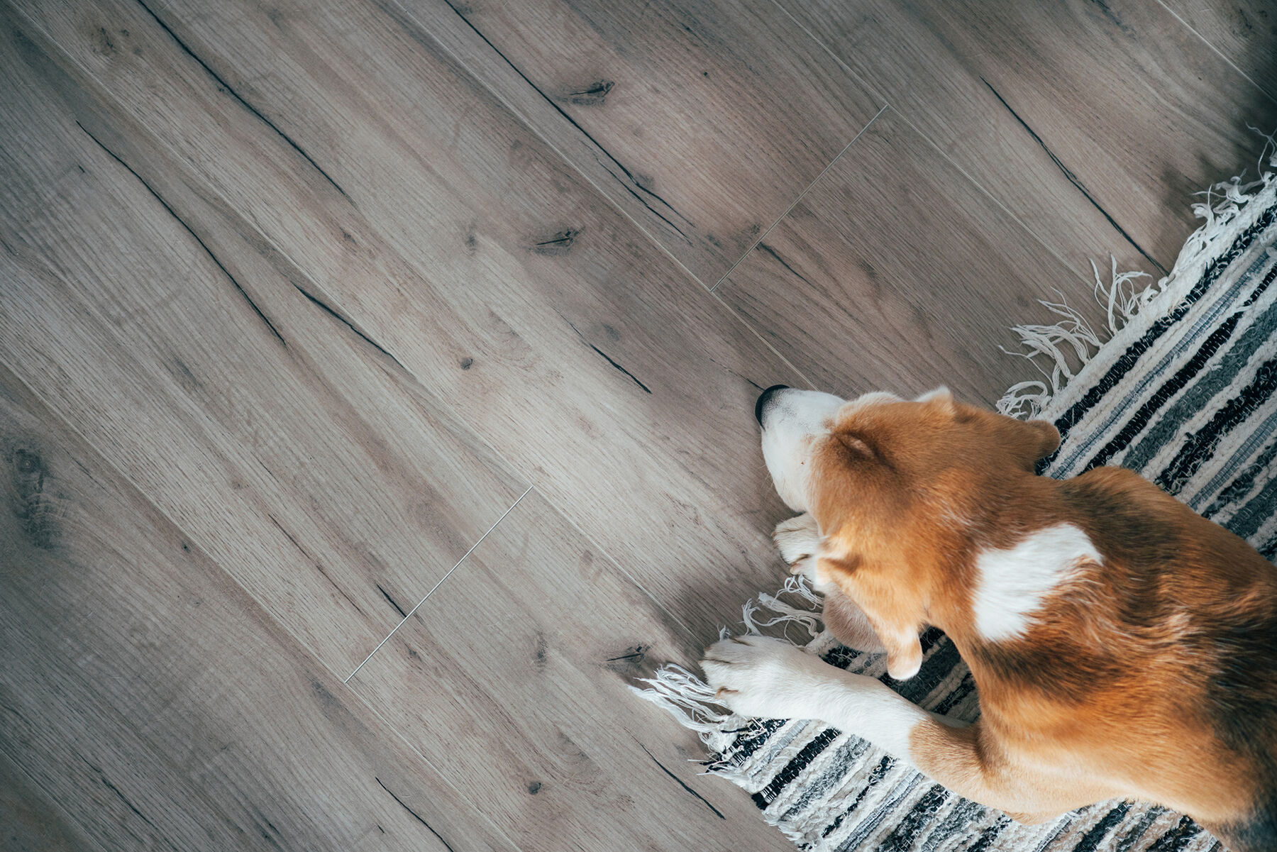 Laminate Flooring