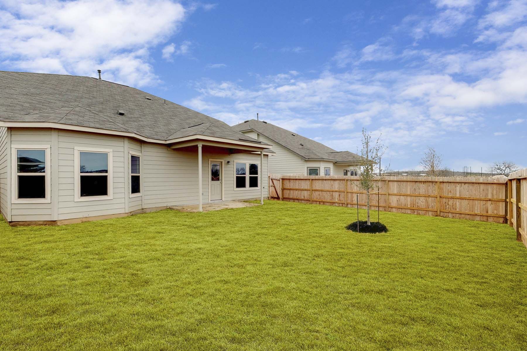 Back Yard