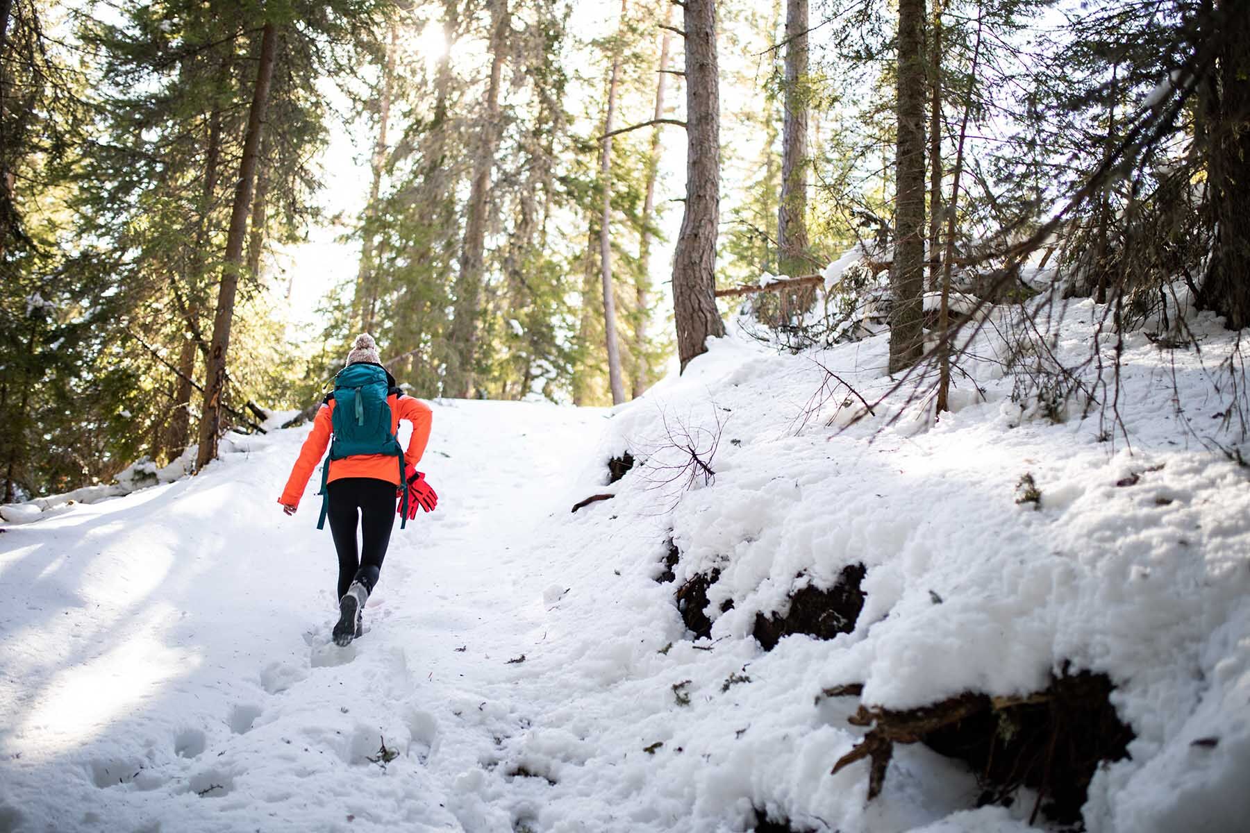 Winter Hike