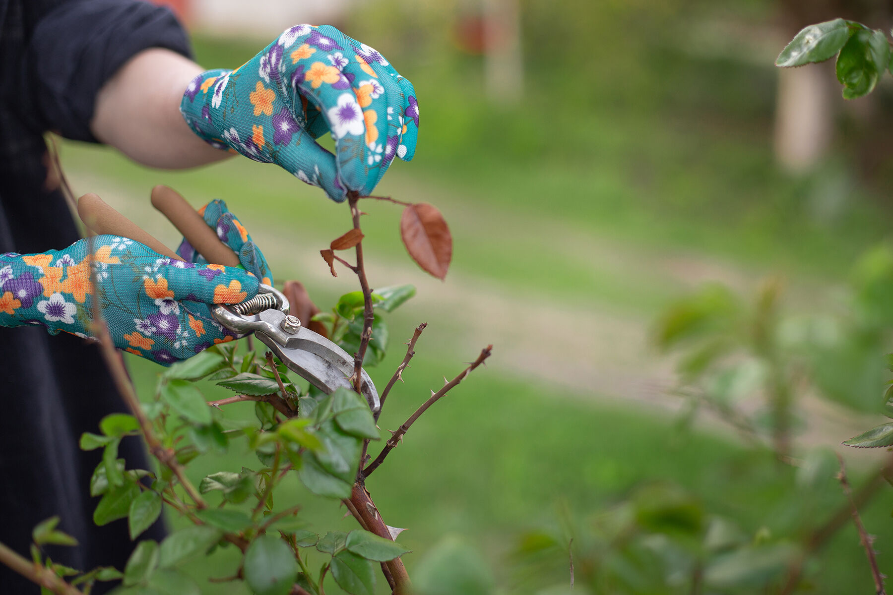 Gardening