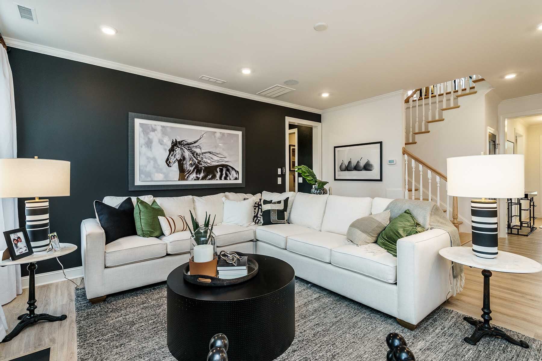 Living Room in Raleigh, NC