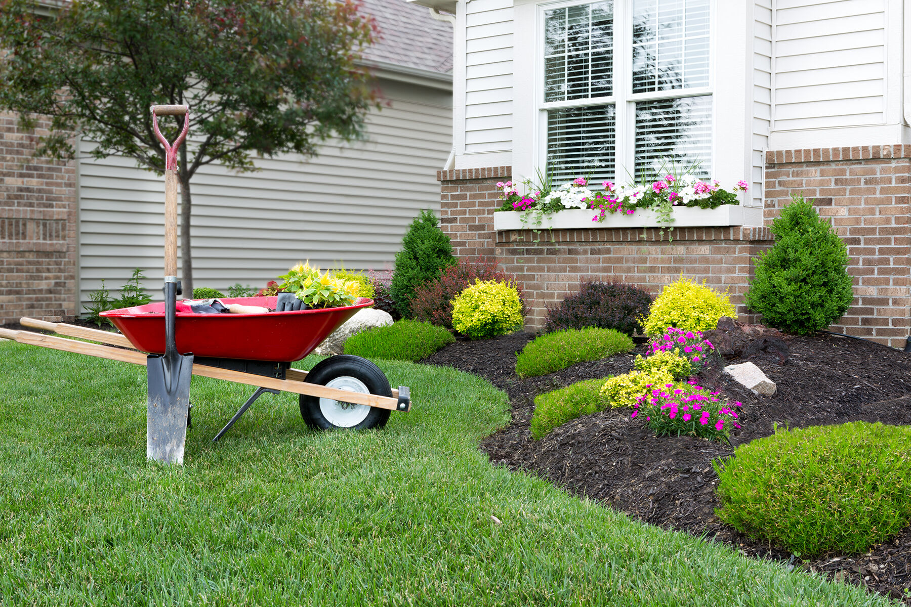 Home Landscaping