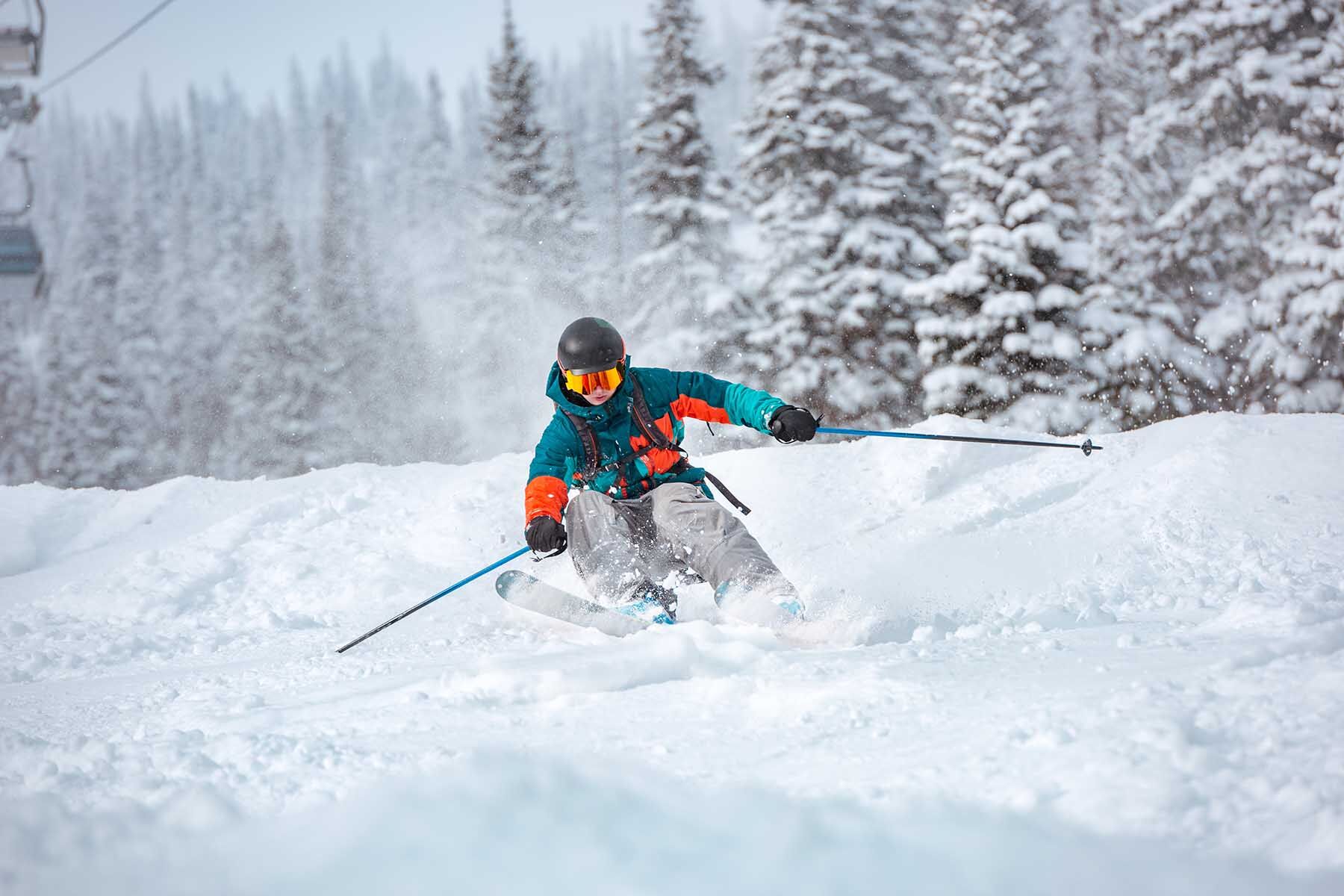 Winter Skis
