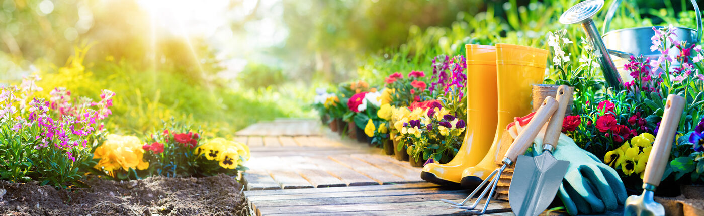 Flower Gardening
