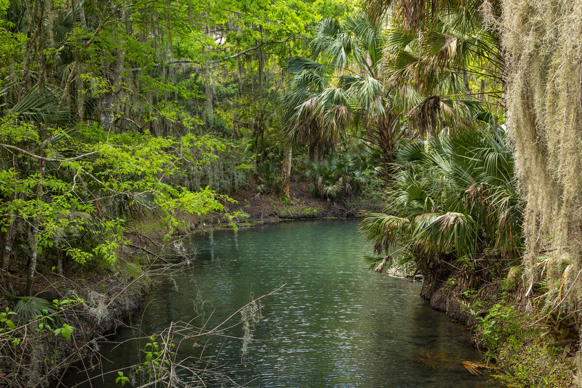 Sanford, FL Park