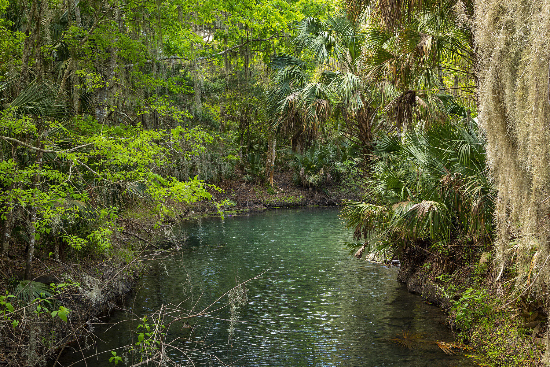 Sanford, FL Park