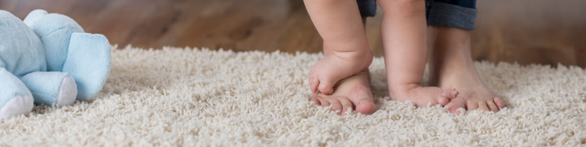 Area Rug