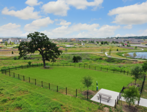 Dog Park