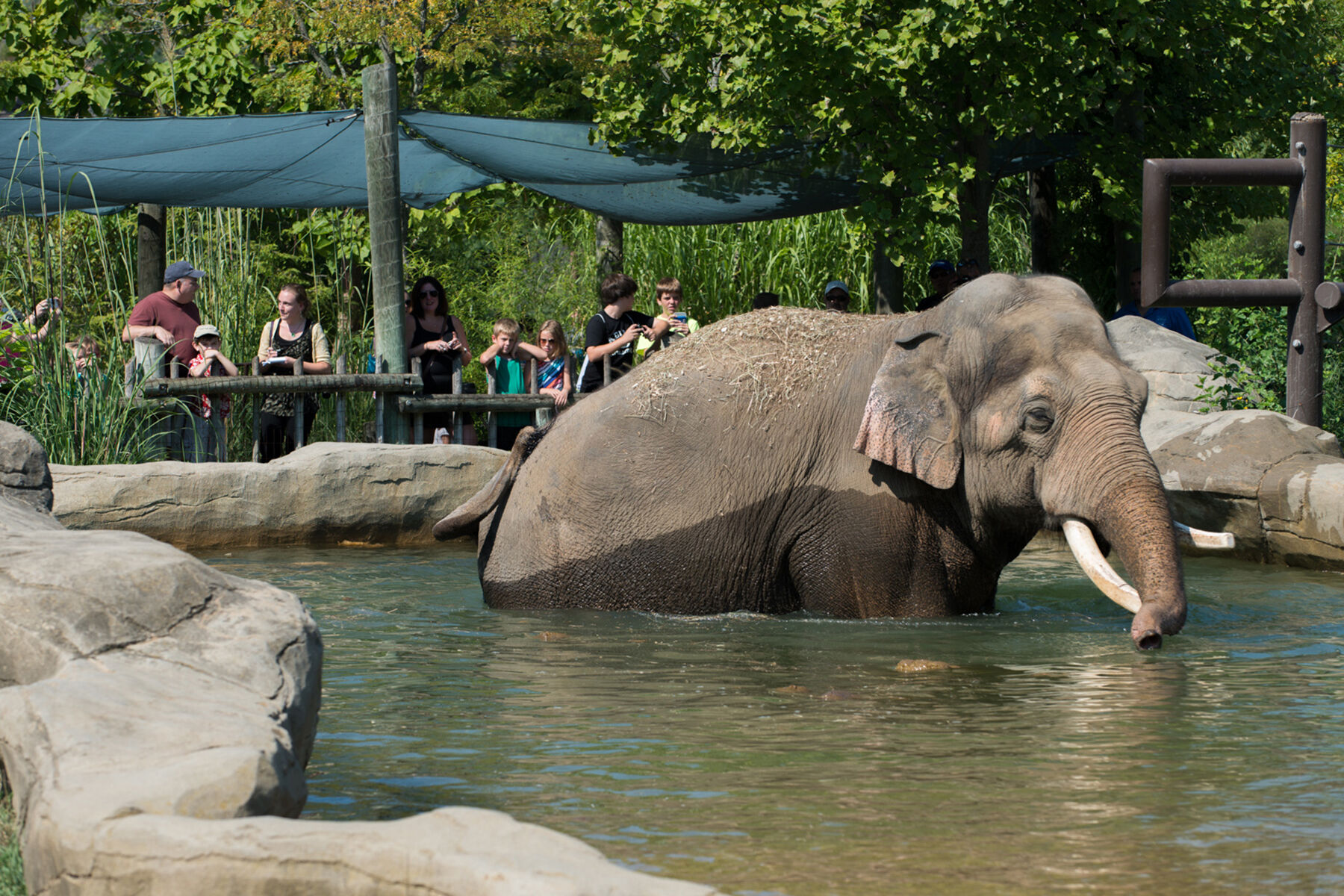 Zoo